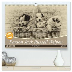 Parson Jack Russel Welpen (hochwertiger Premium Wandkalender 2024 DIN A2 quer), Kunstdruck in Hochglanz - Teßen, Sonja