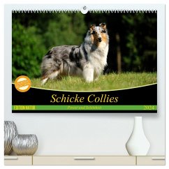 Schicke Collies (hochwertiger Premium Wandkalender 2024 DIN A2 quer), Kunstdruck in Hochglanz