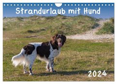 Strandurlaub mit Hund (Wandkalender 2024 DIN A4 quer), CALVENDO Monatskalender - Bollich, Heidi