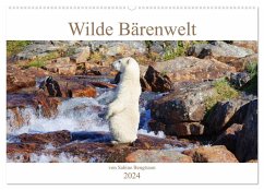 Wilde Bärenwelt (Wandkalender 2024 DIN A2 quer), CALVENDO Monatskalender