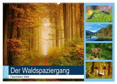 Der Waldspaziergang (Wandkalender 2024 DIN A2 quer), CALVENDO Monatskalender