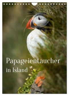 Papageientaucher in Island (Wandkalender 2024 DIN A4 hoch), CALVENDO Monatskalender