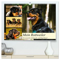 Mein Rottweiler. Nervenstarker Gebrauchs- und Begleithund (hochwertiger Premium Wandkalender 2024 DIN A2 quer), Kunstdruck in Hochglanz