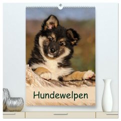 Hundewelpen (hochwertiger Premium Wandkalender 2024 DIN A2 hoch), Kunstdruck in Hochglanz