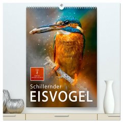 Schillernder Eisvogel (hochwertiger Premium Wandkalender 2024 DIN A2 hoch), Kunstdruck in Hochglanz - Roder, Peter