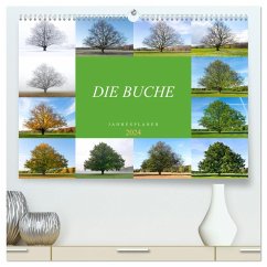Die Buche: Jahresplaner 2024 (hochwertiger Premium Wandkalender 2024 DIN A2 quer), Kunstdruck in Hochglanz