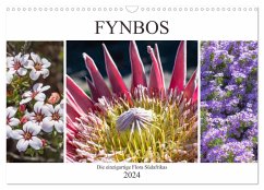 Fynbos - Die einzigartige Flora Südafrikas (Wandkalender 2024 DIN A3 quer), CALVENDO Monatskalender - Schröder, Silvia