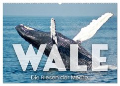 Wale - Die Riesen der Meere. (Wandkalender 2024 DIN A2 quer), CALVENDO Monatskalender