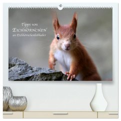 Tipps von Eichhörnchen an Eichhörnchenliebhaber (hochwertiger Premium Wandkalender 2024 DIN A2 quer), Kunstdruck in Hochglanz - Cerny, Birgit