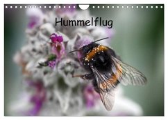 Hummelflug (Wandkalender 2024 DIN A4 quer), CALVENDO Monatskalender