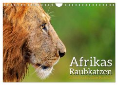 Afrikas Raubkatzen in eindrucksvollen Portraits (Wandkalender 2024 DIN A4 quer), CALVENDO Monatskalender