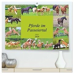 Pferde im Passeiertal (hochwertiger Premium Wandkalender 2024 DIN A2 quer), Kunstdruck in Hochglanz