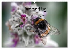 Hummelflug (Wandkalender 2024 DIN A2 quer), CALVENDO Monatskalender