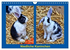 Niedliche Kaninchen (Wandkalender 2024 DIN A4 quer), CALVENDO Monatskalender