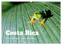 Costa Rica - Tierwelt und Landschaften (Wandkalender 2024 DIN A2 quer), CALVENDO Monatskalender
