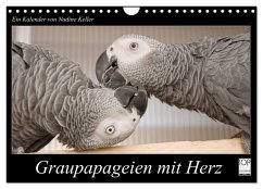 Graupapageien mit Herz (Wandkalender 2024 DIN A4 quer), CALVENDO Monatskalender - Keller, Nadine