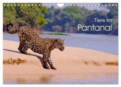 Tiere im Pantanal - viaje.ch (Wandkalender 2024 DIN A4 quer), CALVENDO Monatskalender - viaje.ch, ©