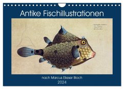 Antike Fischillustrationen nach Marcus Elieser Bloch (Wandkalender 2024 DIN A4 quer), CALVENDO Monatskalender