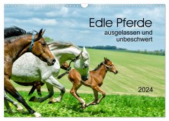 Edle Pferde - ausgelassen und unbeschwert (Wandkalender 2024 DIN A3 quer), CALVENDO Monatskalender