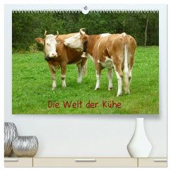 Die Welt der Kühe (hochwertiger Premium Wandkalender 2024 DIN A2 quer), Kunstdruck in Hochglanz - Kattobello