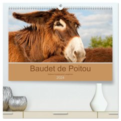 Baudet de Poitou - Seltene französische Langohren (hochwertiger Premium Wandkalender 2024 DIN A2 quer), Kunstdruck in Hochglanz