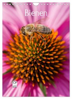Bienenkalender (Wandkalender 2024 DIN A4 hoch), CALVENDO Monatskalender - Bangert, Mark