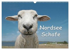 Nordsee Schafe (Wandkalender 2024 DIN A3 quer), CALVENDO Monatskalender