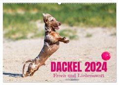 DACKEL 2024 Frech und Liebenwert (Wandkalender 2024 DIN A2 quer), CALVENDO Monatskalender