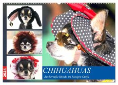 Chihuahuas. Zuckersüße Hunde im lustigen Outfit (Wandkalender 2024 DIN A2 quer), CALVENDO Monatskalender