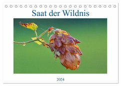 Saat der Wildnis (Tischkalender 2024 DIN A5 quer), CALVENDO Monatskalender