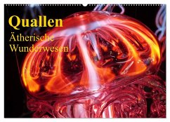 Quallen ¿ Ätherische Wunderwesen (Wandkalender 2024 DIN A2 quer), CALVENDO Monatskalender - Stanzer, Elisabeth