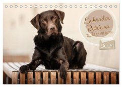 Labrador Retriever - Vielfalt auf Vier Pfoten (Tischkalender 2024 DIN A5 quer), CALVENDO Monatskalender