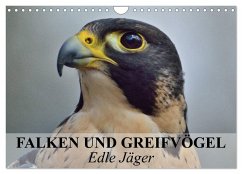 Falken und Greifvögel. Edle Jäger (Wandkalender 2024 DIN A4 quer), CALVENDO Monatskalender