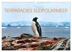 Tierparadies Südpolarmeer (Wandkalender 2024 DIN A3 quer), CALVENDO Monatskalender - Bergermann, Manfred