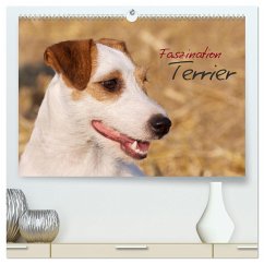 Faszination Terrier (hochwertiger Premium Wandkalender 2024 DIN A2 quer), Kunstdruck in Hochglanz - Gerlach, Nadine