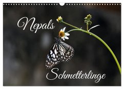 Nepals Schmetterlinge (Wandkalender 2024 DIN A3 quer), CALVENDO Monatskalender - Hennighaußen, Andreas