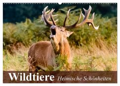 Wildtiere. Heimische Schönheiten (Wandkalender 2024 DIN A2 quer), CALVENDO Monatskalender - Stanzer, Elisabeth