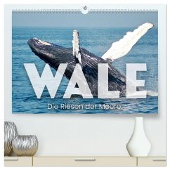 Wale - Die Riesen der Meere. (hochwertiger Premium Wandkalender 2024 DIN A2 quer), Kunstdruck in Hochglanz - SF