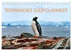 Tierparadies Südpolarmeer (Tischkalender 2024 DIN A5 quer), CALVENDO Monatskalender