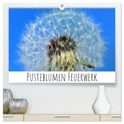 Pusteblumen Feuerwerk (hochwertiger Premium Wandkalender 2024 DIN A2 quer), Kunstdruck in Hochglanz
