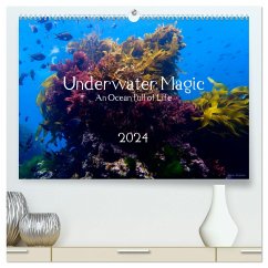Underwater Magic (hochwertiger Premium Wandkalender 2024 DIN A2 quer), Kunstdruck in Hochglanz