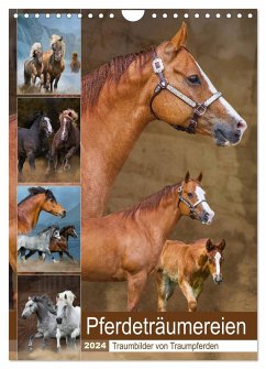 Pferdeträumereien - Traumbilder von Traumpferden (Wandkalender 2024 DIN A4 hoch), CALVENDO Monatskalender