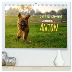 Ein Hundekind namens Anton (hochwertiger Premium Wandkalender 2024 DIN A2 quer), Kunstdruck in Hochglanz - calmbacher, Christiane