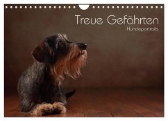 Treue Gefährten - Hundeportraits (Wandkalender 2024 DIN A4 quer), CALVENDO Monatskalender - Behr, Jana