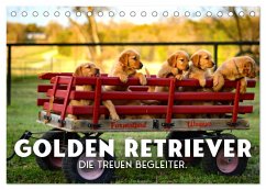 Golden Retriever - Die treuen Begleiter. (Tischkalender 2024 DIN A5 quer), CALVENDO Monatskalender