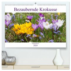 Bezaubernde Krokusse (hochwertiger Premium Wandkalender 2024 DIN A2 quer), Kunstdruck in Hochglanz