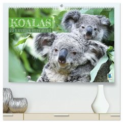 Koalas: die flauschigen Herzensbrecher (hochwertiger Premium Wandkalender 2024 DIN A2 quer), Kunstdruck in Hochglanz - Calvendo