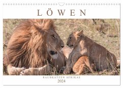 Löwen - Raubkatzen Afrikas (Wandkalender 2024 DIN A3 quer), CALVENDO Monatskalender