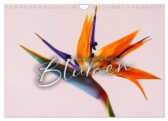 Die magische Welt der Blumen (Wandkalender 2024 DIN A4 quer), CALVENDO Monatskalender