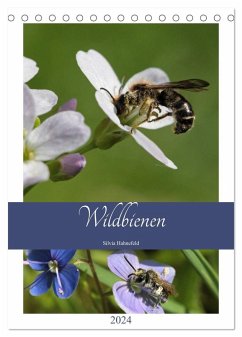 Wildbienen-Terminplaner 2024 (Tischkalender 2024 DIN A5 hoch), CALVENDO Monatskalender
